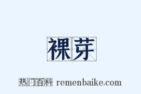 裸芽是什么意思的图片